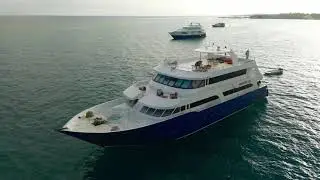 Maldives surfsafari.