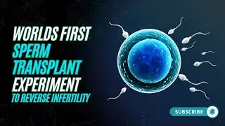World's First Sperm Transplant Experiment To Reverse Infertility 😱 #science #breakthrough #medicine