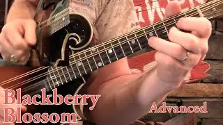 Blackberry Blossom For Mandolin- Intermediate & Advanced!