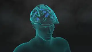 Leatt Half-Shell Helmets: 360 ̊ Turbine Technology Explained