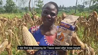 TAAT Maize Farmer testimonial: Linet Atieno