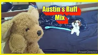Austin's Ruff Mix - SMC Mini 24