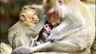 WHO UNDERSTAND JANNA FEELING? THE POOR GIRL STILL FOLLOW AND LULL MUM TO BE CONNECTED LIKE BEFORE.