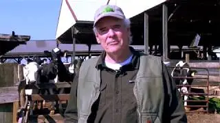Culpeper County Agricultural Close-Up
