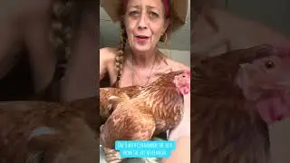 Day 8 with a hen from the vet and heaven named cinnamon - afternoon vent check and then vitamin d 