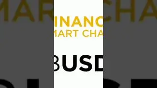BUSD SMART CHAIN | Finical Free Plan | #youtubeshorts  #finance  #financialfreedom  #shorts