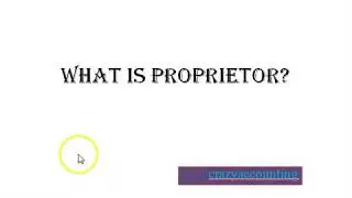 MEANING OF PROPRIETOR