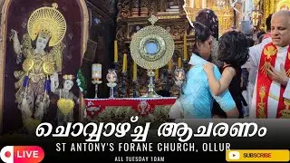 ചൊവ്വാഴ്ചയാചരണം വി കുർബാന  FR SIJESH VATHUKKADAN CMI 30/12/2025