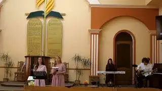 Фарби життя