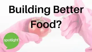 Building Better Food? | practice English with Spotlight