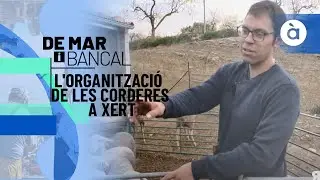 L'organització de les corderes a Xert - De mar i bancal
