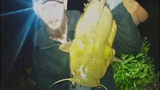 those stories about massive catfish lurking in dams? Well, I hooked one It weighed in at 24.5lb