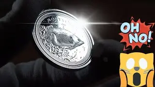 Why YOU should buy Caribbean Silver and an ERROR found while ranking Montserrat Angelfish!