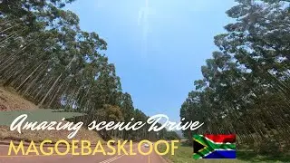 Amazing Scenic Drive in Limpopo, South Africa || Magoebaskloof Pass || Land of Silver Mist