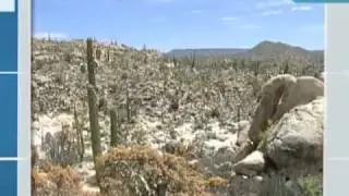 Mining in Ensenada, Baja California, Mexico