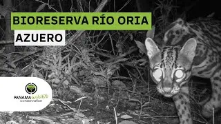 BioReserva R&iacute;o Oria