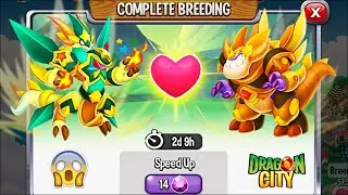 Dragon City: High Five Dragon vs High Toytown Dragon [EXCLUSIVE BREEDING] 😱