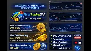 BTC & Gold (XAUUSD) Live Trading Online (2026) &ndash; Forex Trading TV