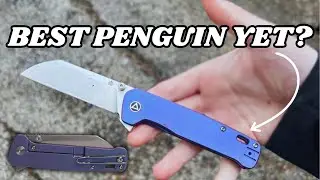 Affordable Yet High Quality: QSP x Kaviso Penguin Plus Titanium Review