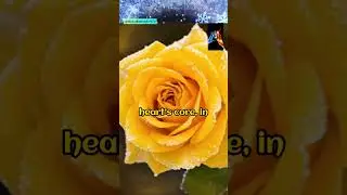 Ice Flower Heart #sadness #lonely #loneliness #hearttouching #blues #foryou #fyp #music #song 