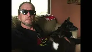 Pet Travel
