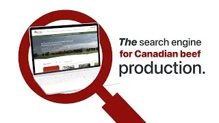 The NEW BeefResearch.ca