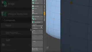 Redirecting your Topology in Modo #shorts