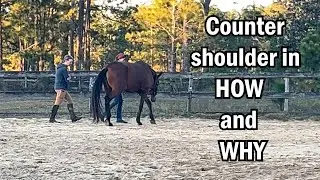 In-hand work: LEARN counter shoulder in HOW and WHY