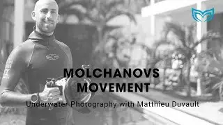 Underwater Photography with Matthieu Duvault | Molchanovs Freediving