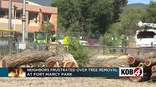 Santa Fe residents angered by tree removal for Zozobra in Fort Marcy Park