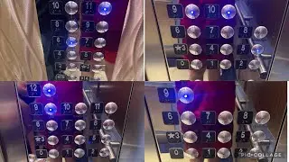 Elevator Tour Of ALL Schindler Marine Traction Elevators @ Carnival Sunrise Cruise Ship