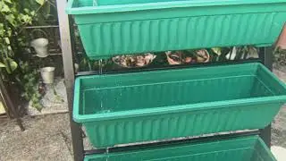 very popular best seller Garden decorative planter outdoor flower pots