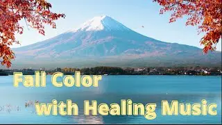Fall Colors with Healing Music