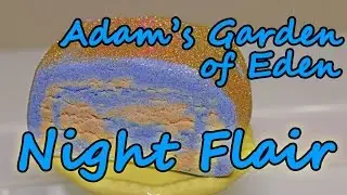 Adam's Garden of Eden - Night Flair Bubble Bar - Demo - Review