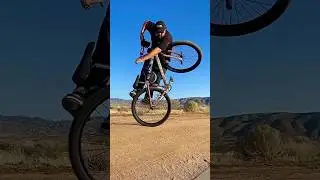 29&rdquo; BMX Freestyle!!! SE Bikes Big Flyer!