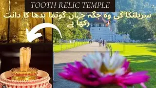 Visiting kandy's Sacred City and Temple of the Tooth Relic
