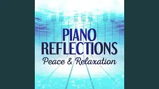 Thoughtful Reflection