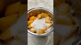 fresh mango juice 🥭🥭🥭 shan vlogs malayalam