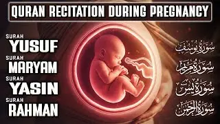 Powerful Quran For Pregnancy | Surah Yusuf, Maryam, Yasin, Ar-Rahman | Habibullah TV