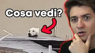ILLUSIONI INFAMI