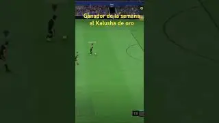 FIFA 23 club Krelboynes #kalushadeoro