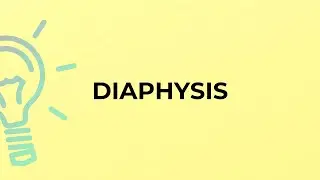 What is the meaning of the word DIAPHYSIS?
