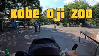 Tamasya ke Kobe Oji Zoo