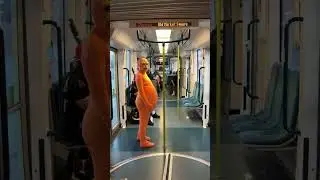 Girl Wears Lorax Costume on Public Tram