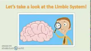 Limbic System Explained to a 5th Grader!