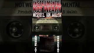 MICKAEL IAN WALSH - NOT WEARY [EXTRAIT] #soul #hiphop #sample #rap #rapmusic #soulmusic #beat #rapfr