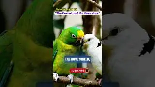 The Parrot and the Dove &ndash; A Story of Faith and Friendship#jesus #parrot #bibleverse#message #shorts