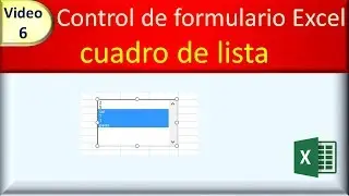 06 control de formulario excel: CUADRO DE LISTA