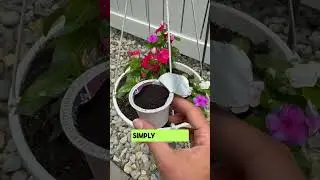 Get those pesky bugs away! #diy #hack #coffee