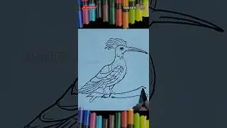 Hoopoe Drawing #hoopoe #hoopoebird #birds #birdslover #birdsdrawing #hariartsdrawing #drawing #arts